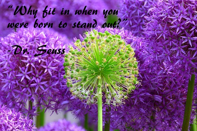 Dr. Suess Quote